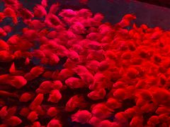 -多彩贵州城极地海洋世界