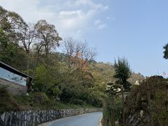 -贵州省植物园