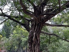 -人民公园(罗湖区)