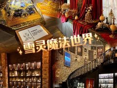 -雪灵魔法世界SHELLY’S TAROT(大良桂畔里店)