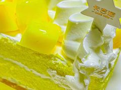 -卡吉诺动物奶油生日蛋糕(东明路店)