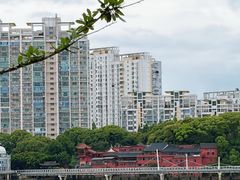 -江心屿景区