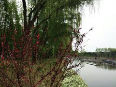 -昆山城市生态森林公园