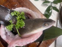 -缘·金家烤鳗鱼(西塔总店)