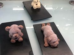 -澜悦港海鲜体验主题餐厅