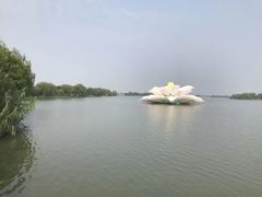 -大莲湖农家乐(青西郊野公园店)