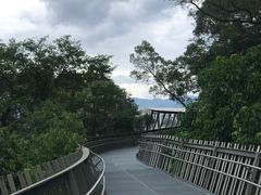 -福道