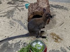 -海合安武汉极地海洋公园