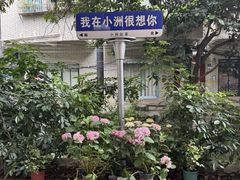 -小洲村