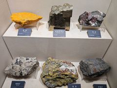 -安徽省地质博物馆
