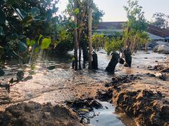 -宝安西湾红树林湿地公园