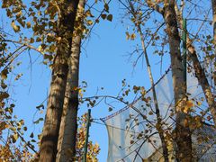 -回龙观体育文化公园