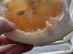 -PAGODA百果园(台柳路凯德广场店)