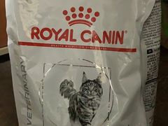 -荔康动物医院(康王北路店)