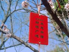 -神木二郎山风景区