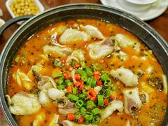 -盛宏鑫·四川鲜鱼馆(一元路店)