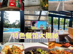 -海岛八号龙虾烧烤田鸡(蓝天路总店)
