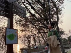 -巢湖姥山岛