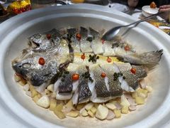 砂锅焗深海大黄鱼-红城阁·上海味道(四平路店)