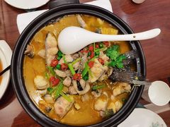 -鲁宴·鲁煨黄河生态大鲤鱼(月坛店)