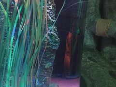 -沈阳海洋探索中心