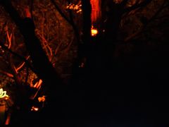 -禅驿嘉定院子-禅欢江景餐厅·中餐·户外烧烤定制(乐山大佛店)