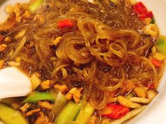 肉末粉丝-菜当家