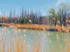 -大兴滨河森林公园