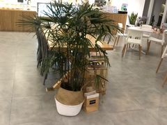 -CHEZ JASMINE 茉莉的氧气厨房