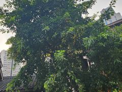 -重庆十八梯传统风貌区