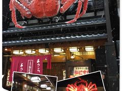 -蟹料理 北海道かに将軍(札幌本店)