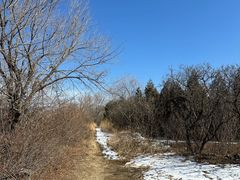 -北京西山国家森林公园