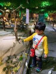 -酷嗒动物文化乐园(cutezoo西溪乐天城店)