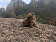 -巨石山景区