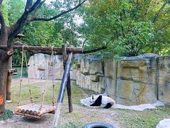 -上海野生动物园