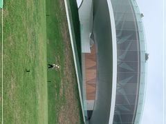 -郑东新区龙湖公共艺术中心