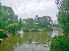 -西宁市人民公园(城西区)