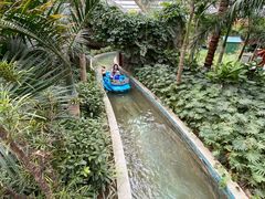 -南宫五洲植物乐园