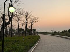 -芒洲湿地公园