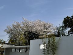 -练塘古镇