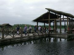 -溱湖国家湿地公园