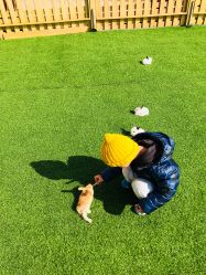 -萌宠亲子动物乐园(槐房万达店)