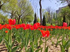 -廊坊文化艺术中心