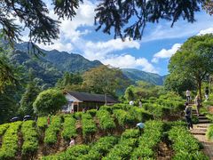 -钟山水墨田园