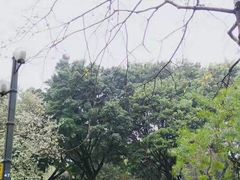 -晓港公园