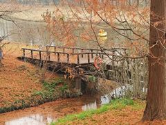 -黄海国家森林公园