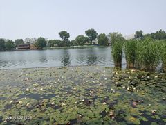 -北京大学-燕南食堂