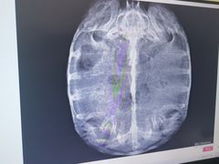 -爱侣宠医·鹦鹉专科·小型哺乳类·异宠专科(灵石路店)