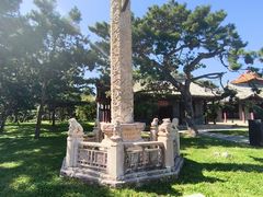 -北陵公园
