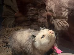 -陕西自然博物馆